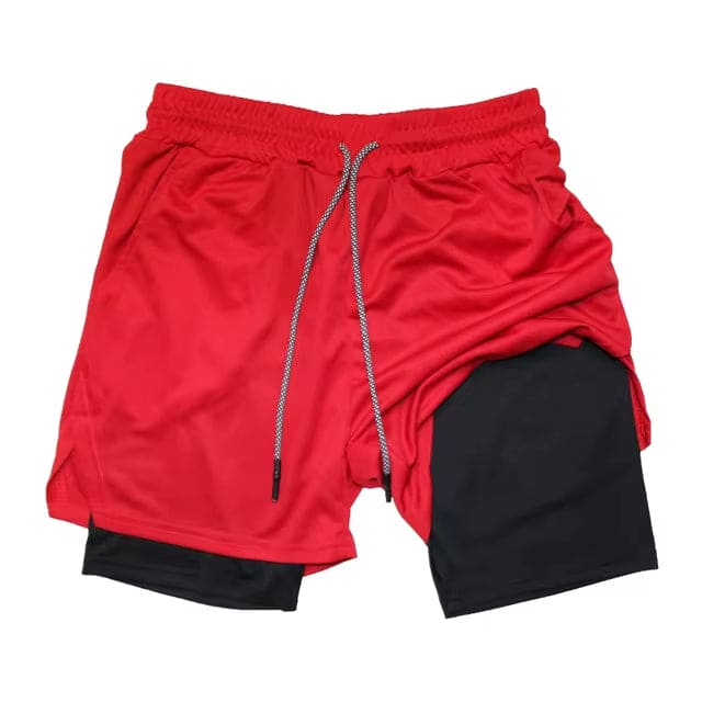 Dualfit 2 in 1 Shorts